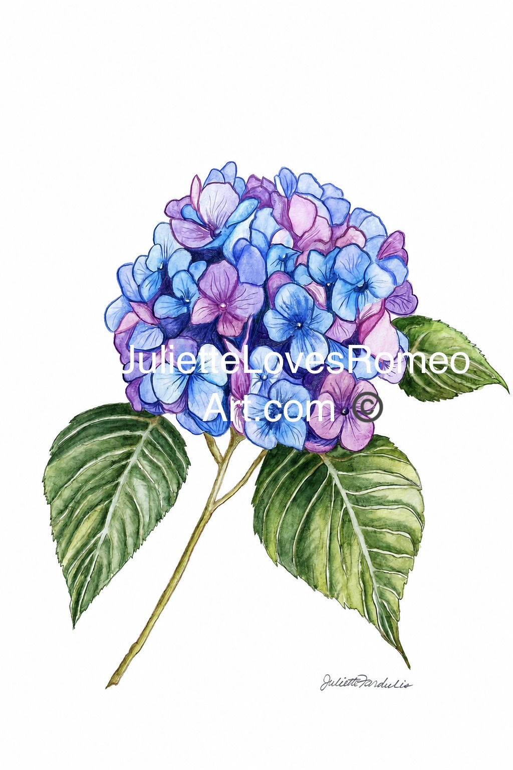 watercolor painting art