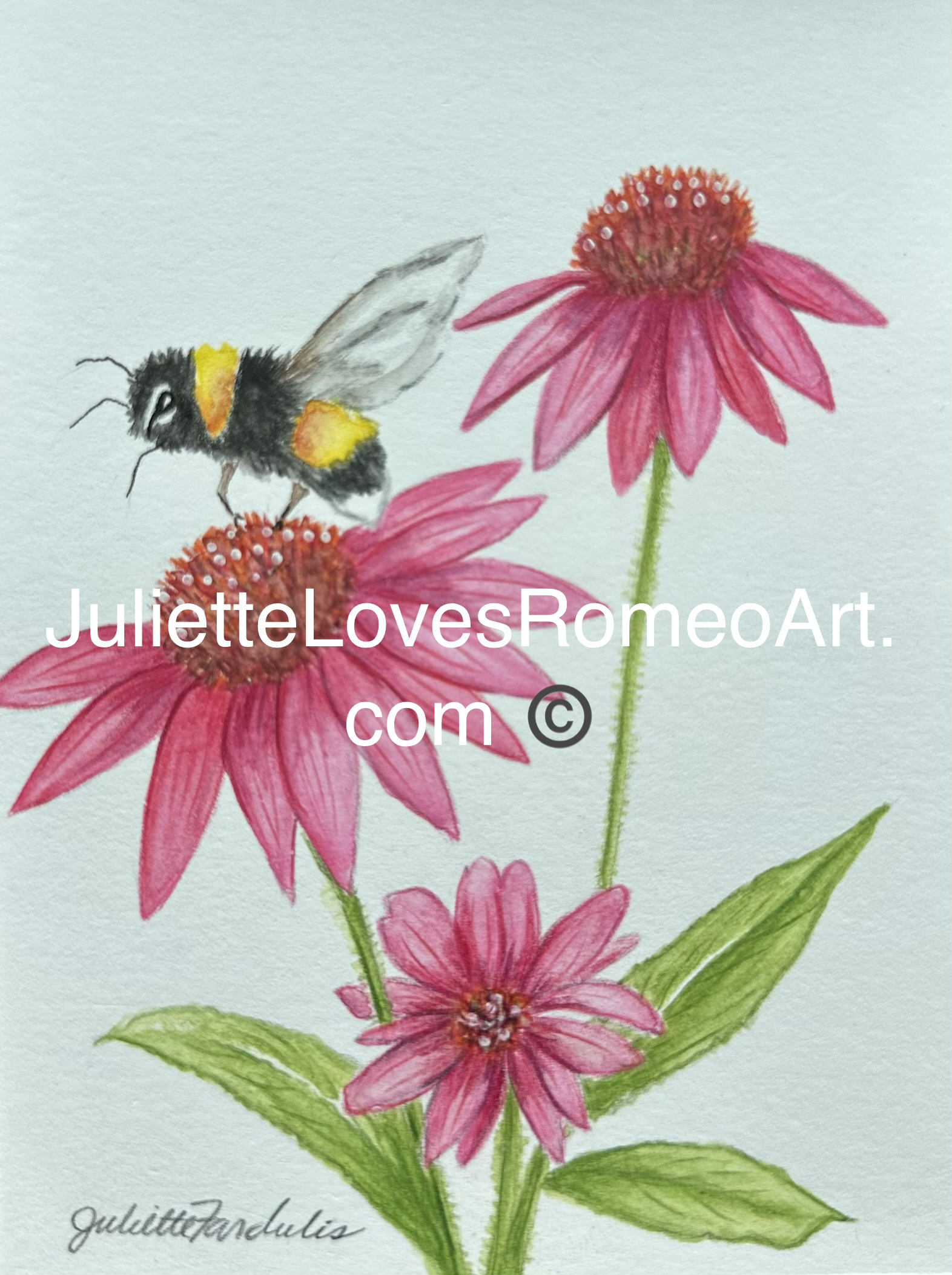 watercolor landscape floral