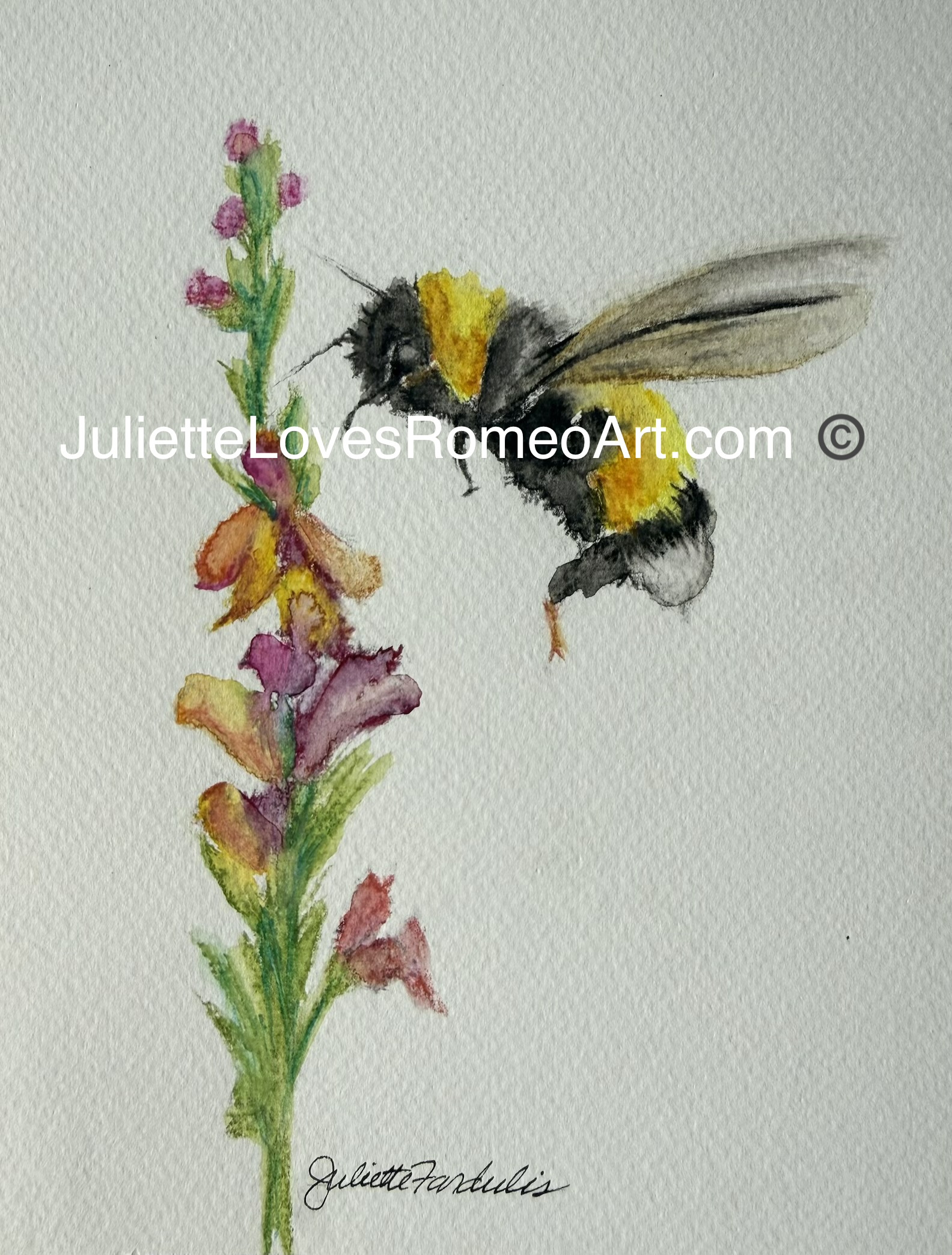 watercolor painting art