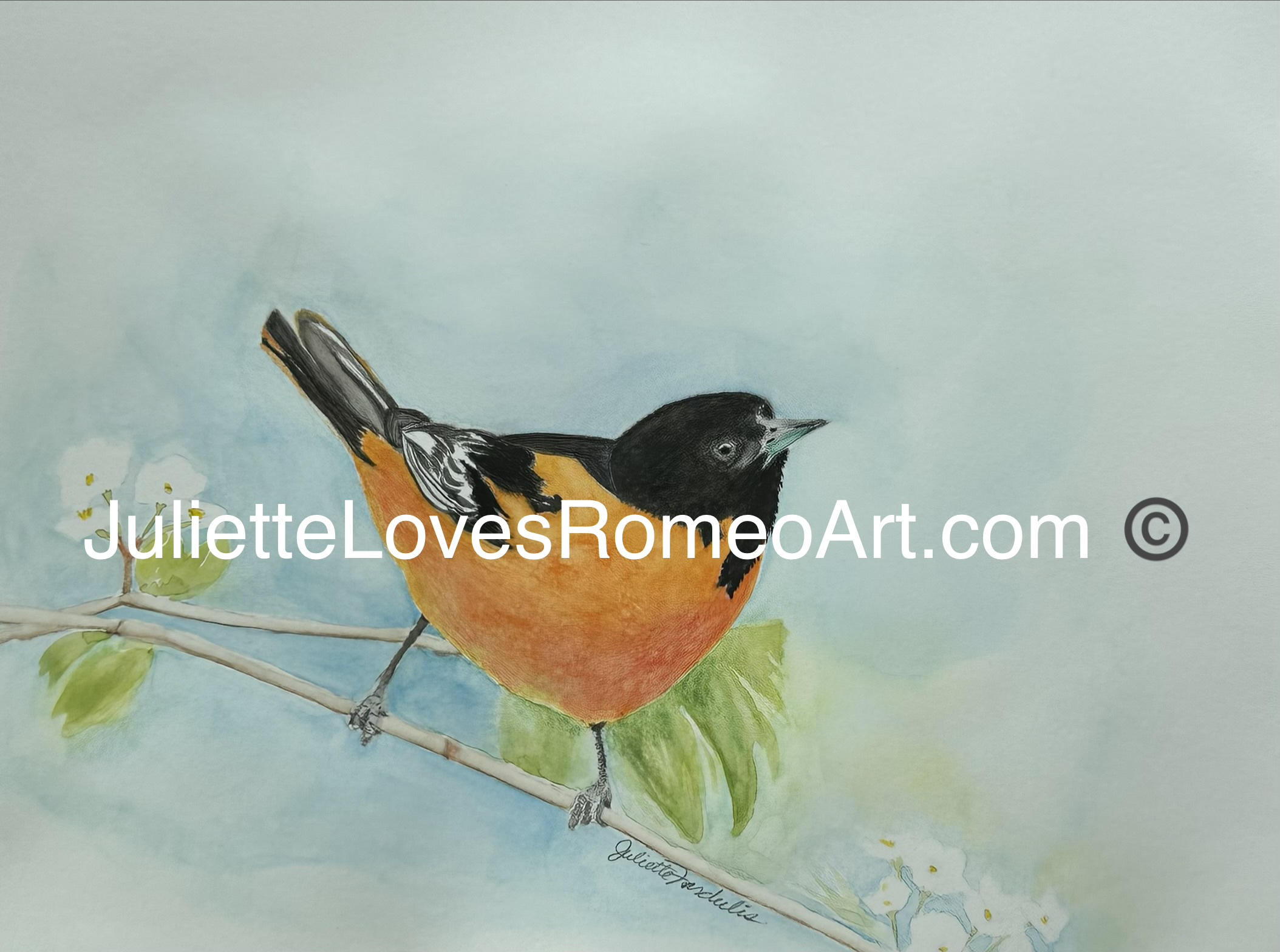 watercolor painting art