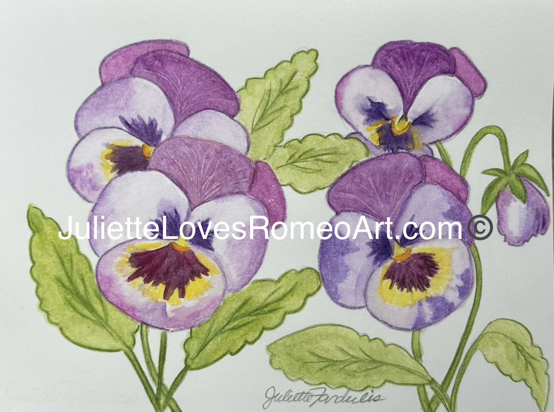 watercolor still life painting