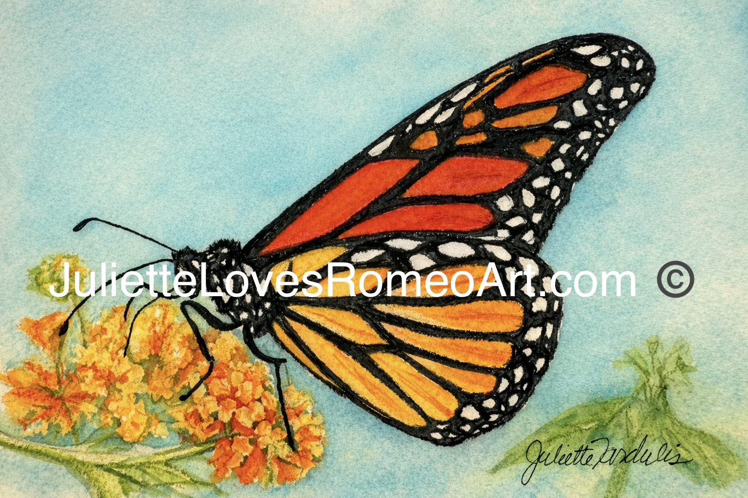 watercolor painting art