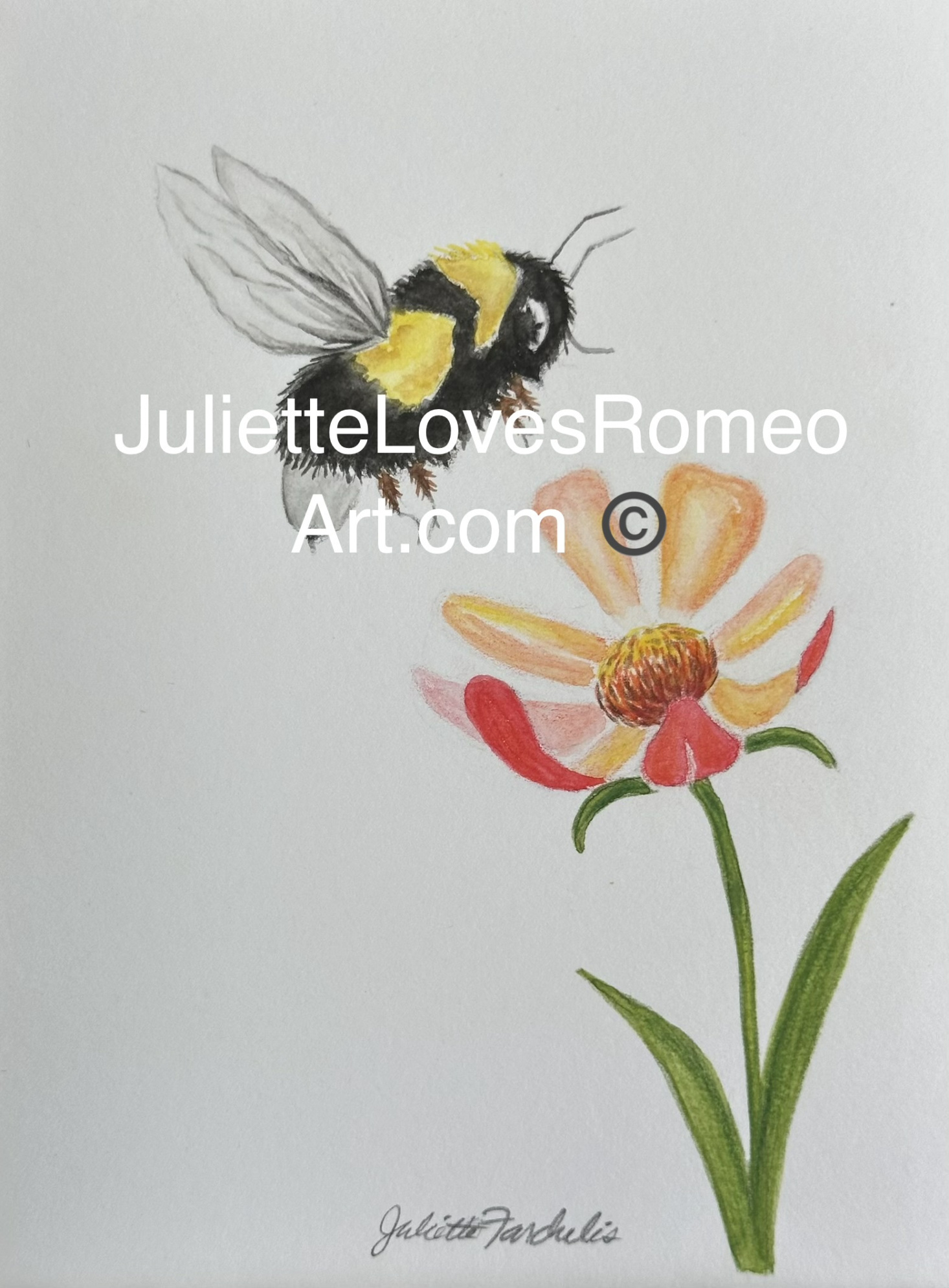 watercolor landscape floral