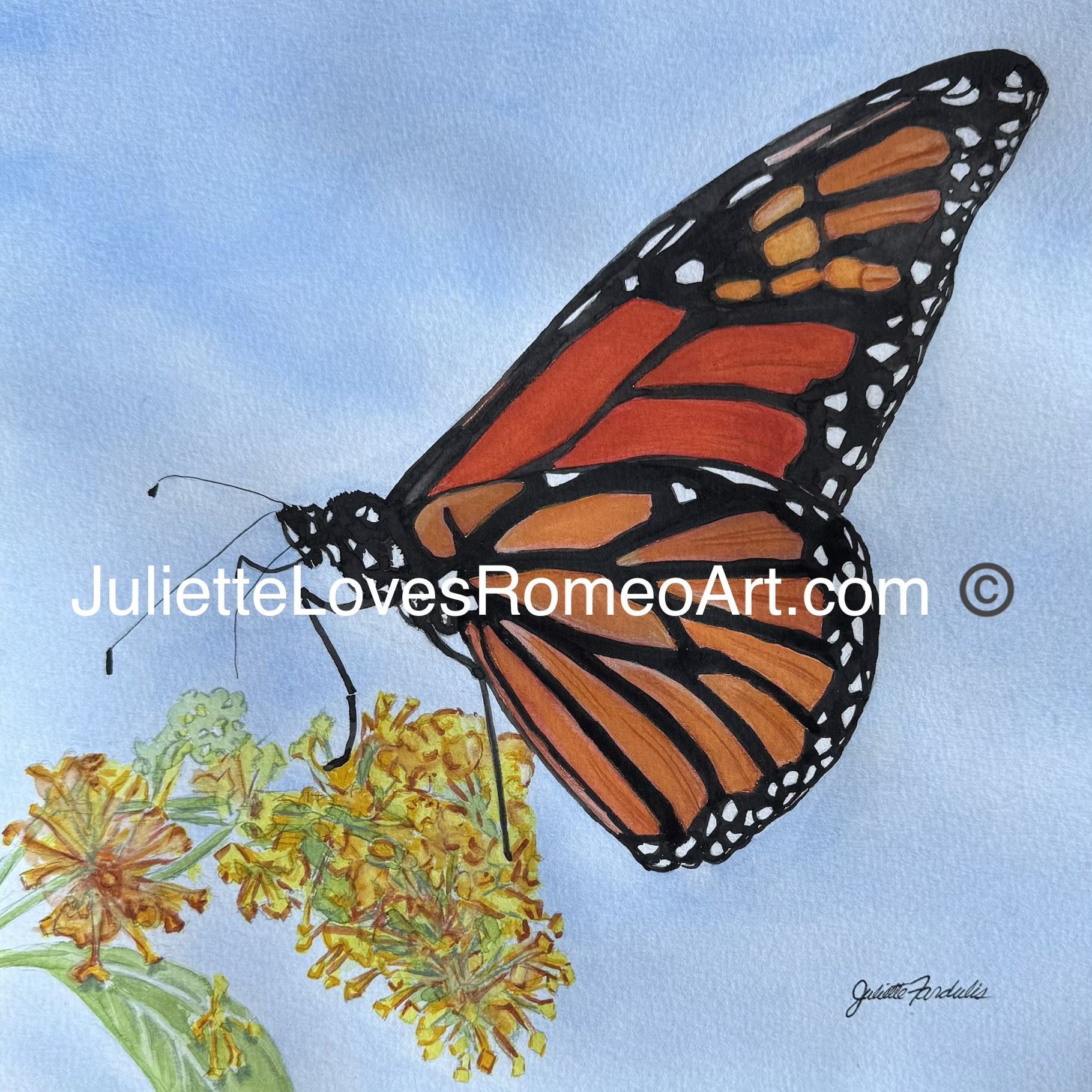 watercolor painting art